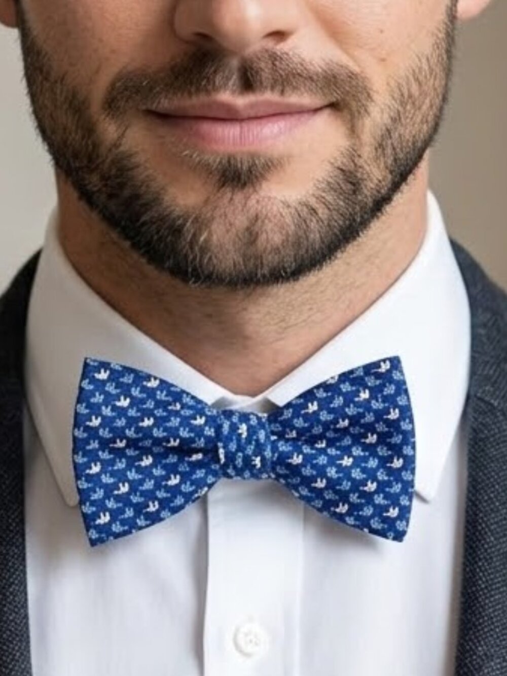 Van Laack Silk Elephant Republican blue print bowtie